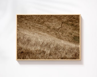 Printable Grass Backdrop - Textured Nature Photo Download, Creative Asset for Design Projects, Photoshop Textures, Digital Download