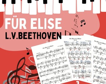 Für Elise - L.v. Beethoven; 3 Version Sheet music Visual Learning Edition with Color-Coded Notes + Audio File