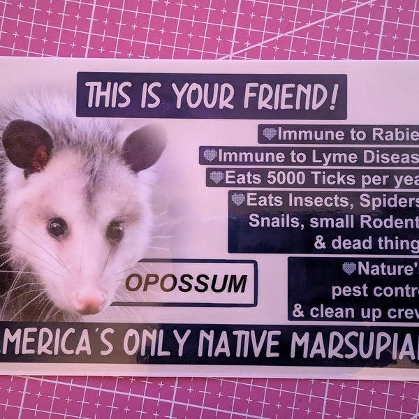 Opossum facts bumper sticker UV laminated waterproof car ready 6.25" x 4.25"