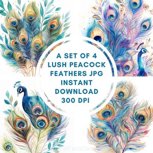 Peacock Feather Watercolor Illustration Set #1 | 4 Piece Wall Art | 300 DPI JPG