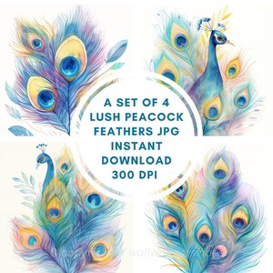 Commercial Use Bundle Set of 4 Lush Peacock Feathers JPG, Instant Download High Resolution 300 DPI, Printable Art, Digital Wall Decor