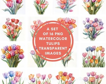 Conjunto de imágenes prediseñadas de tulipanes en acuarela, imágenes PNG florales (uso comercial)