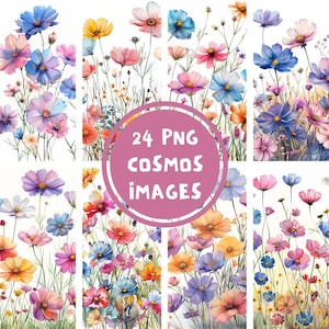 Wildflower Cosmos Commercial Use 24 PNG Spring Watercolor Illustrations Colorful Floral for Card Making Crafts Junk Journal Digital Download