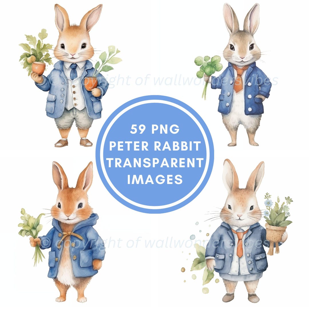Commercial Use 59 Peter Rabbit Cliparts PNG Spring Bunny Illustrations ...