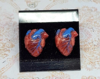 Pode incluir: Um par de brincos de coração anatômico com veias azuis e um esquema de cores vermelho e marrom. Os brincos são exibidos em um fundo de veludo preto.