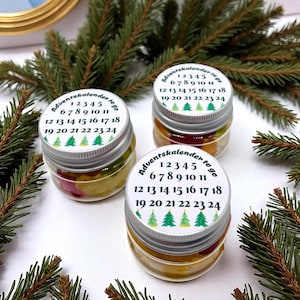 Adventskalender to go, Gastgeschenk Weihnachten- Advent Geschenk- Mitbringsel Weihnachten- Weihnachtsfeier- Give away Weihnachten