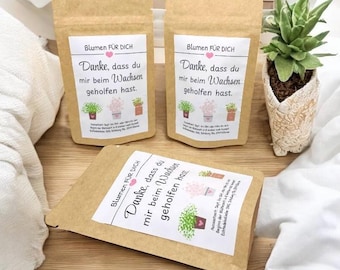Farewell gift for educators, farewell from kindergarten, teacher, flower seeds, personalized, souvenir, gift, wildflower seeds, thank you