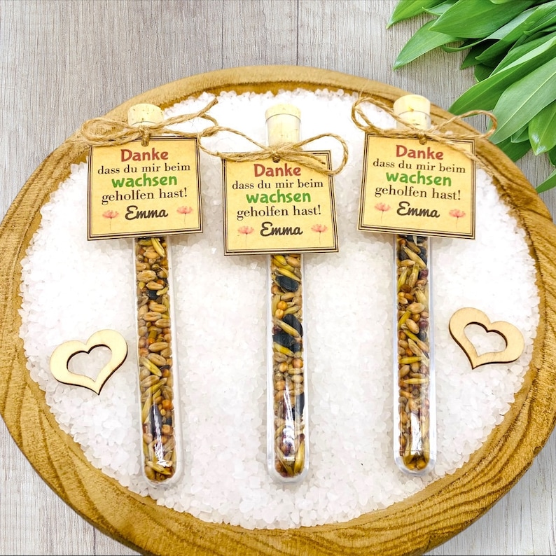 Geschenk Erzieherin/Lehrerin/Blumensamen Anhänger/Abschied Kindergarten, Grundschule/Abschiedsgeschenk Erzieherin/Erzieherin Geschenk Abschied/Schuleinführung/Geschenk Erzieher/Abschiedsgeschenk Erzieherin Kindergarten,