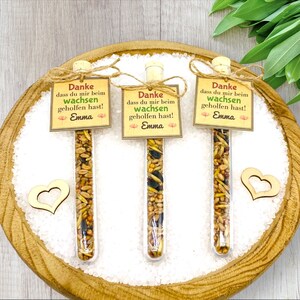 Geschenk Erzieherin/Lehrerin/Blumensamen Anhänger/Abschied Kindergarten, Grundschule/Abschiedsgeschenk Erzieherin/Erzieherin Geschenk Abschied/Schuleinführung/Geschenk Erzieher/Abschiedsgeschenk Erzieherin Kindergarten,