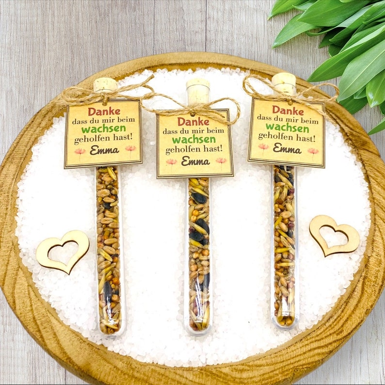 Geschenk Erzieherin/Lehrerin/Blumensamen Anhänger/Abschied Kindergarten, Grundschule/Abschiedsgeschenk Erzieherin/Erzieherin Geschenk Abschied/Schuleinführung/Geschenk Erzieher/Abschiedsgeschenk Erzieherin Kindergarten,