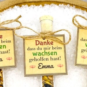 Geschenk Erzieherin/Lehrerin/Blumensamen Anhänger/Abschied Kindergarten, Grundschule/Abschiedsgeschenk Erzieherin/Erzieherin Geschenk Abschied/Schuleinführung/Geschenk Erzieher/Abschiedsgeschenk Erzieherin Kindergarten,