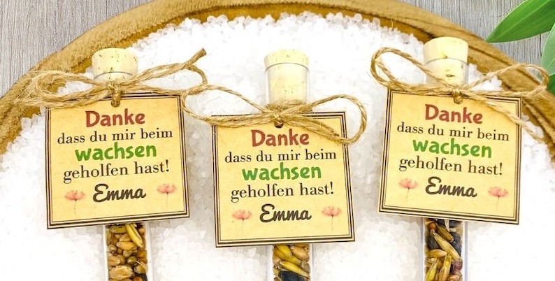 Geschenk Erzieherin/Lehrerin/Blumensamen Anhänger/Abschied Kindergarten, Grundschule/Abschiedsgeschenk Erzieherin/Erzieherin Geschenk Abschied/Schuleinführung/Geschenk Erzieher/Abschiedsgeschenk Erzieherin Kindergarten,