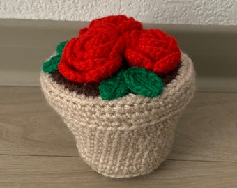 Roses en pot décoratif
