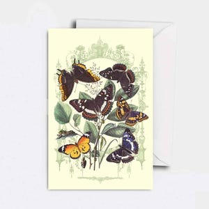 Zauberhafte Vintage Grusskarte Magical Forest light - the butterfly's