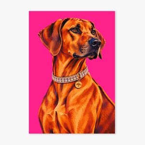 May include: A portrait of a brown Rhodesian Ridgeback dog with a short, smooth coat, wearing a wide, multi-row rhinestone collar with a circular gold-toned pendant featuring a tree emblem, set against a solid, vibrant hot pink background.