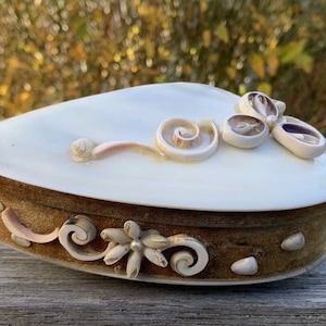 Puede incluir: Una caja de corazón hecha de conchas blancas con un forro de terciopelo marrón. La caja está decorada con conchas en forma de flores y espirales.