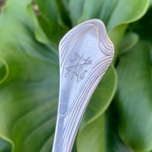 May include: Close-up of a silver spoon with an engraved monogram. The spoon's handle features a decorative pattern of curved lines. The background is blurred green foliage.