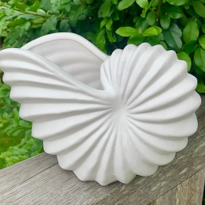 Puede incluir: Una maceta de cerámica blanca con forma de nautilus. La maceta tiene un diseño en espiral en la parte delantera y una parte superior curva y abierta. La maceta está sobre una superficie de madera con follaje verde en el fondo.