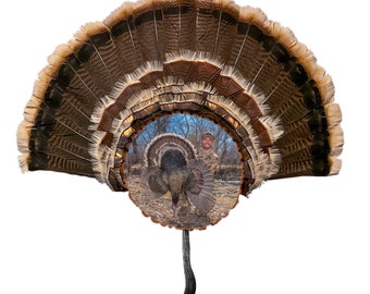 Custom Turkey Fan Mount - Turkey Fan With Color Photo - Turkey Fan Plaque - First Turkey - Custom Photo On Wood