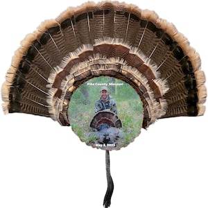Custom Turkey Fan Mount - Turkey Fan With Color Photo - Turkey Fan Plaque - First Turkey - Custom Photo On Wood (Pack of 3)