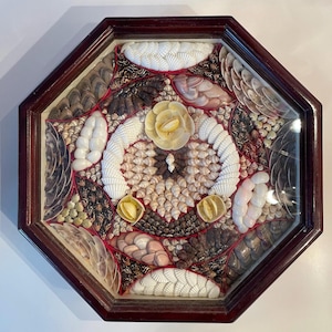 Puede incluir: Una obra de arte enmarcada octogonal con un mosaico de conchas marinas. La disposición incluye conchas blancas, beige y marrones, con un diseño floral central. El marco es de madera oscura y la obra está bajo vidrio.