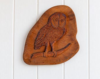 May include: A brown wooden wall plaque featuring a hand-carved owl perched on a branch. The owl is depicted with detailed feather textures and large circular eyes. The plaque has an irregular, organic shape with a smooth, polished wood grain finish.