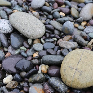 Glistening Beach Rocks
