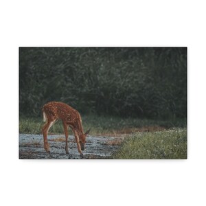 Tela esticada, arte de parede com foto de veado, impressão de fotografia da natureza, decoração de casa de vida selvagem, decoração de quarto de cabana