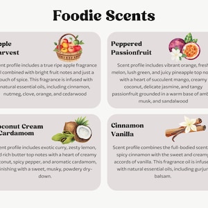 K&ouml;nnte beinhalten: Das Bild "Foodie Scents" zeigt vier Duftprofile. Apple Harvest zeigt einen Korb mit &Auml;pfeln. Peppered Passionfruit zeigt eine Passionsfrucht. Coconut Cream + Cardamom hat eine Kokosnuss. Cinnamon Vanilla zeigt Zimtstangen.