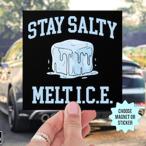 May include: Black square magnet or sticker with the text "STAY SALTY MELT I.C.E." in light blue. A light blue cartoon ice cube is in the center. The words "CHOOSE MAGNET OR STICKER" are in a starburst shape.