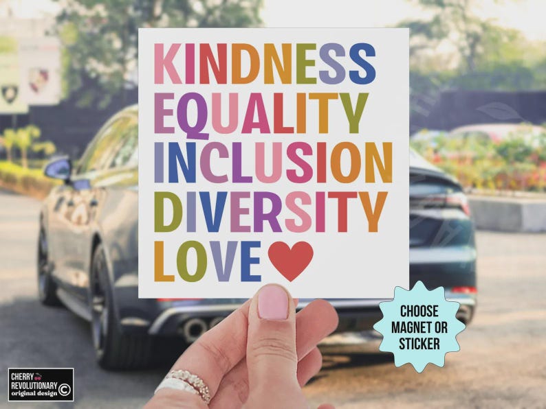 Vriendelijkheid gelijkheid inclusie diversiteit liefde auto magneet/bumpersticker, liberale progressieve waarden, democraat feministische geschenk, mensenrechten sticker afbeelding 6