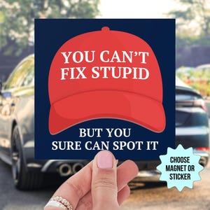 Adesivo per paraurti/magnete per auto "Can't Fix Stupid MAGA Hat", repubblicano anti-Trump, divertente democratico politico liberale di sinistra, sei in una setta