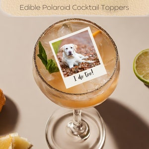 12 x toppers de coquetel polaroid com retrato de animal de estimação comestível, papel de wafer, folha de glacê, festa, casamento, imagens personalizadas, champanhe, eu também, cachorro