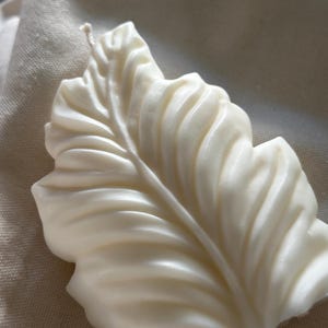 Könnte beinhalten: Eine cremefarbene, blattförmige Kerze mit detaillierten Adern. Die Kerze hat eine glatte, wachsartige Textur und ist vor einem neutralen Hintergrund platziert. Die Kerze ist ein dekorativer Artikel, geeignet für die Inneneinrichtung.