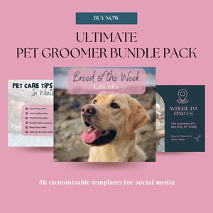 May include: A pink and white graphic design template bundle for pet groomers. The bundle includes 46 customizable templates for social media. The image shows three example templates: one with pet care tips for winter, one with a Labrador dog, and one with a location and contact information.