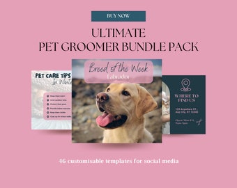 PET GROOMER INSTAGRAM pack: Dog Groomer, Pet Groomer, Instagram Templates, Instagram Templates for Dog Groomer, Groomer Business