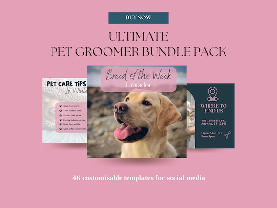 PET GROOMER INSTAGRAM pack: Dog Groomer, Pet Groomer, Instagram Templates, Instagram Templates for Dog Groomer, Groomer Business