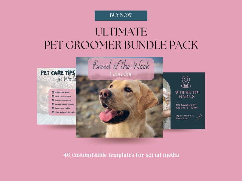 May include: A pink and white graphic design template bundle for pet groomers. The bundle includes 46 customizable templates for social media. The image shows three example templates: one with pet care tips for winter, one with a Labrador dog, and one with a location and contact information.