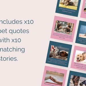 May include: A set of 10 pink and teal Instagram story templates featuring pet quotes and images of dogs and cats. The text includes quotes like "A house is not a home without a pet." and "Animals are such agreeable friends - they ask no questions, they pass no criticisms."