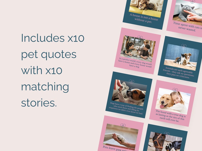 May include: A set of 10 pink and teal Instagram story templates featuring pet quotes and images of dogs and cats. The text includes quotes like "A house is not a home without a pet." and "Animals are such agreeable friends - they ask no questions, they pass no criticisms."