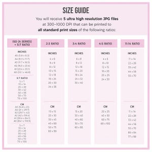 May include: A size guide chart with a light pink border and white background. It lists five high-resolution JPG files with various print ratios including ISO A-series, 2:3, 3:4, 4:5, and 11:14, providing corresponding dimensions in inches and centimeters.