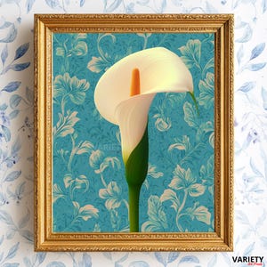 Calla Lily Botanical Art Print, Elegant Cream Lily on Teal Floral Background, Floral Png Download, Printable Flower Poster, Lily art print
