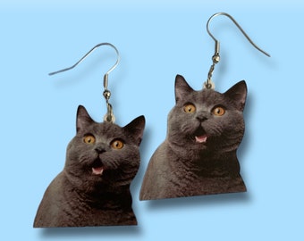 funny cat earrings