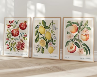 Conjunto de impresiones de cítricos vintage: limón, melocotón, granada, arte mural botánico, arte mural de mercado de frutas, arte de comedor, impresiones de frutas de verano