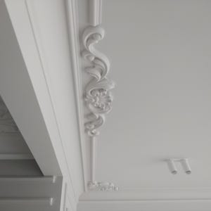 May include: White ceiling with ornate white molding around the perimeter. The molding features a decorative design with a floral motif.