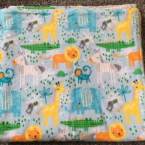 Zoo Animals Baby Blanket: Minky Car Seat Blanket