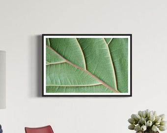 Stunning Macro Leaf Photography - Vibrant Green Organic Texture Wall Art