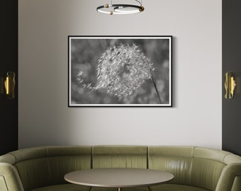 May include: A green curved sofa with a round table in front of it. The sofa is in a room with a black and white photo of a dandelion on the wall. The room has a modern design with a black ceiling and white walls.