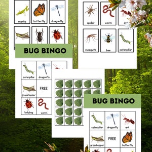 Bug Bingo