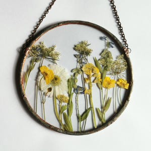 Pressed flower glass suncatcher with yellow and white wildflowers – real botanical round wall hanging for cottagecore home decor